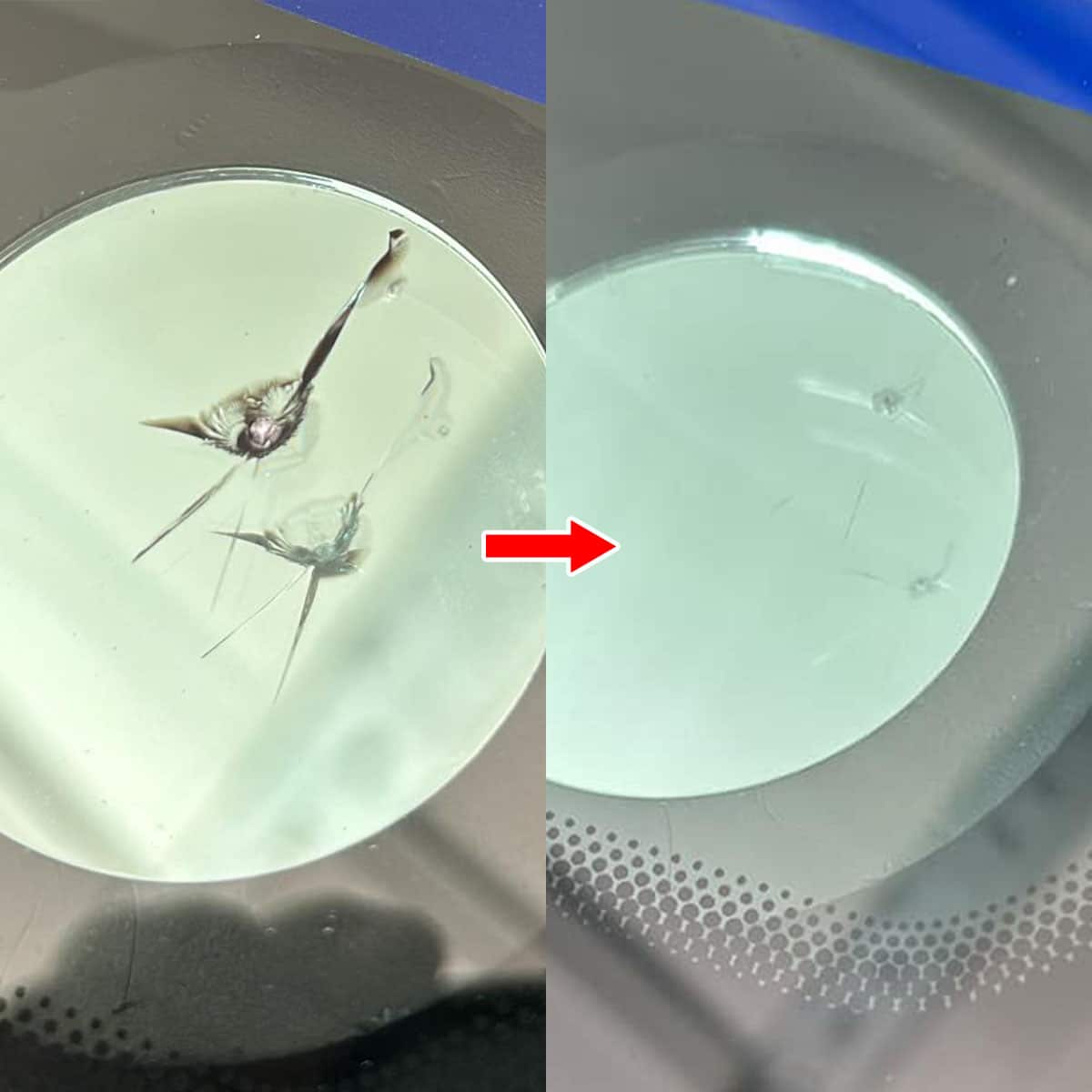 Before & After Windshield Repair